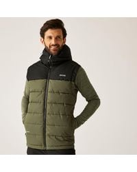 Regatta - Aldthorn Bodywarmer Water-Repellent Insulated Sleeveless Gilet - Lyst