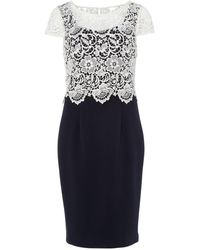 phase eight juno dress pink