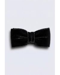 Twisted Tailor - Shirai Velvet Bow Tie - Lyst