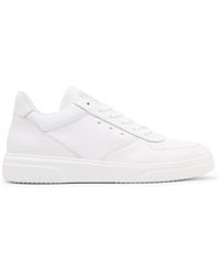 Steve Madden - Low-Top Trainers - Lyst