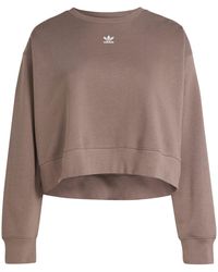 adidas Originals - Adicolor Essentials Crew Sweatshirt (Plus Size) - Lyst