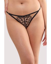 Playful Promises - Cindy Floral Embroidery Thong - Lyst