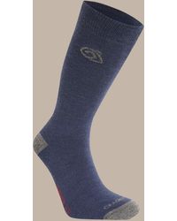 Craghoppers - Nosilife Wool Lightweight Travel Socks - Lyst