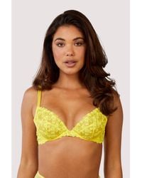 Playful Promises - Audre Embroidery Bra - Lyst
