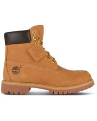 Timberland - 6 Inch Lace Up Waterproof Boots - Lyst