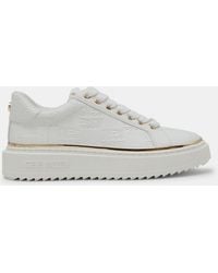 Steve Madden - On-Stage 2.0 Low-Top Trainers - Lyst