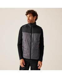 Regatta - Tactical Regime Bodywarmer - Lyst