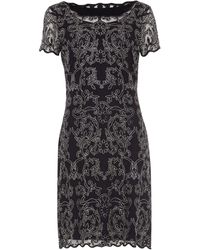 phase eight marly embroidered dress