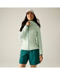 Regatta - Andreson Water Resistant Hooded Long Sleeve Insulated Puffer Jacket - Lyst
