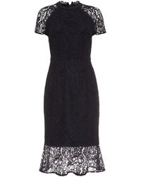 phase eight amaya lace dress