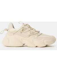 Steve Madden - Spectator Low-Top Trainers - Lyst