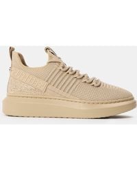 Steve Madden - Glorya Low-Top Trainers - Lyst