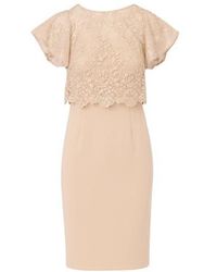 Adrianna Papell - Sequin Guipure Crepe Dress - Lyst