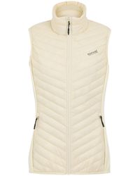 Regatta - Anderson Hybrid Extol Stretch Bodywarmer - Lyst