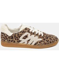 Steve Madden - Elora Low-Top Trainers - Lyst
