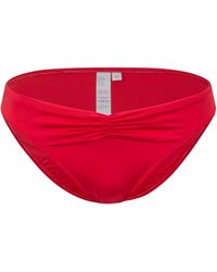 Biba - Icon Venetian Bikini Briefs - Lyst