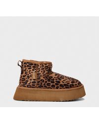 Steve Madden - Campfire Snug Boots - Lyst