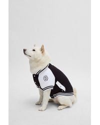 BOSS - Dog Bomber Jacket With Embroidered Logo - Lyst