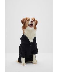 BOSS - Dog Hoodie - Lyst