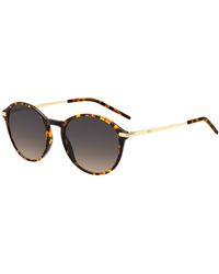 BOSS - Round Sunglasses In Havana Acetate With Gold-tone Temples - Lyst