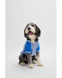BOSS - Dog Bomber Jacket With Embroidered Logo - Lyst