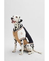 BOSS - Dog Bomber Jacket With Embroidered Logo - Lyst