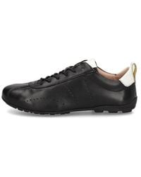 Salamander - Sneaker - Lyst