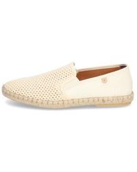Verbenas - Tom Pacific - Lyst