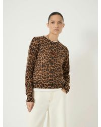 Hush - Gathered Shoulder Animal Jumper - Lyst