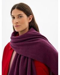Hush - Cashmere Scarf - Lyst