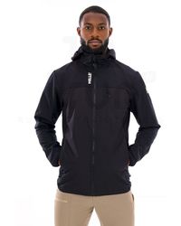 Millet - Seneca Hybrid - Lyst