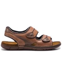 josef seibel flip flops