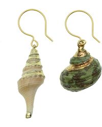 FARRA Jewelry Shell Earrings - Green