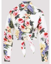 Dolce & Gabbana - Ls Rose Print Shirt - Lyst