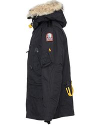 parajumper kodiak man