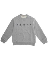 Marni - Kids Crewneck Sweatshirt Cotton Hoods & Sweatshirts - Lyst
