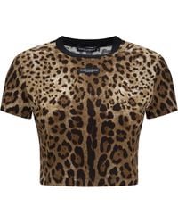 Dolce & Gabbana - Dolce & Gabbana Leopard-Print Cropped T-Shirt - Lyst