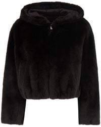 Pinko - Jacket Tech Fabric, Polyester Coat - Lyst