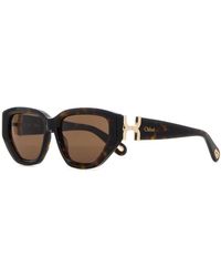 Chloé - Printed Acetate Sunglasses - Lyst