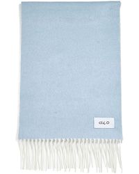 D 40 - And Scarf With Fringes - Lyst