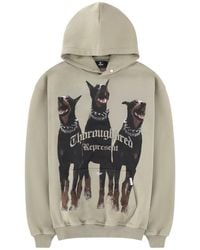 Represent - Hoodie Thoroughbred Cotton Sweatshirts - Lyst
