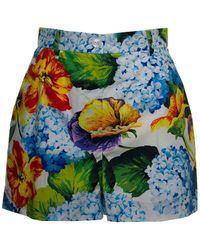 Dolce & Gabbana Hydrangea Print Cotton Poplin Shorts - Multicolor