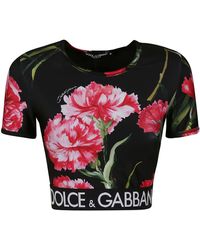 Dolce & Gabbana Floral Print Logo Cropped T-shirt - Multicolor