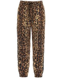 Dolce & Gabbana - Leopard Printed Drawstring Pants - Lyst