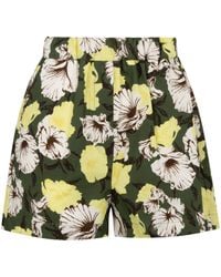 MSGM - Floral Cotton Shorts - Lyst