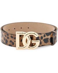 Dolce & Gabbana - Glossy Leather Belt With Leopard Print And Dg Logo - Lyst