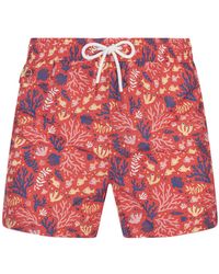 Kiton - Swim Shorts With Fish And Coral Pattern - Lyst