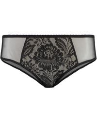 Dolce & Gabbana - Lace And Tulle Panties - Lyst