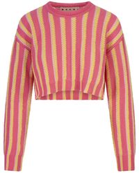 Marni - And Striped Knitted Crop Pullover - Lyst