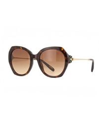 Chopard - Sunglasses Round Full Rim, Shiny Havana- Frame And Gradient Lens Sch354V0743 - Lyst